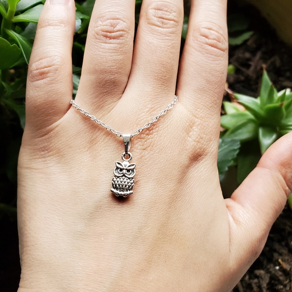 NWOT Silver Howl Necklace - Picture 9 of 14